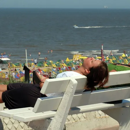 펜션 Cosy House With Large Sunny Garden And Terrace Near The Beach Of Noordwijk. 노르트베이크