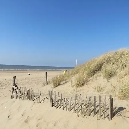 Cosy House With Large Sunny Garden And Terrace Near The Beach Of Noordwijk.